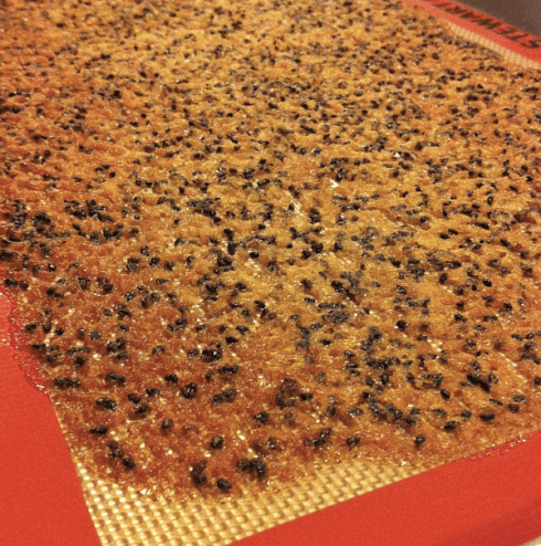 BLACK-SESAME-GLASS